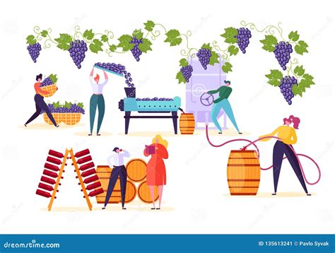 Winery Factory Wine Production Process Set Stock Vector Illustration