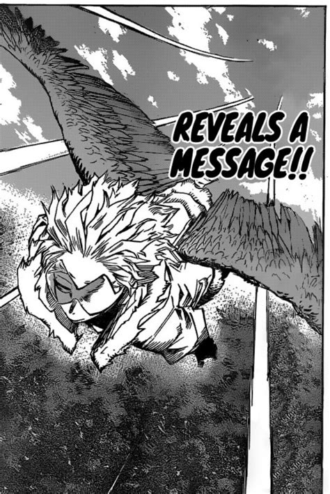 Pin By My Dream Girl Dont Exist On Every Panel Hawks Is In My Hero