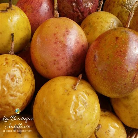 Fruit De La Passion Maracudja Martinique Jeune Plant La Boutique Antillaise