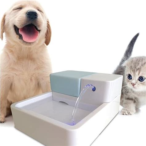 The 16 Best Dog Water Fountains Of 2021
