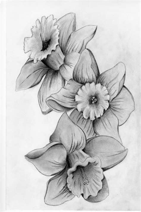 Simple Pencil Drawing Pictures Of Flowers ~ How To Draw A Flower With