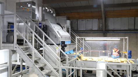 Potato Packer Improves Performance With Automated Optical Sorting