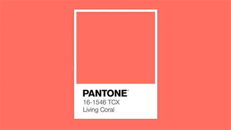 Pantone Reveals Living Coral As The 2019 Colour Of The Year