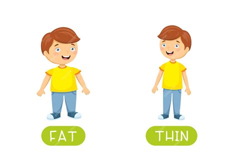 Free Vector Fat And Thin Antonyms Flashcard