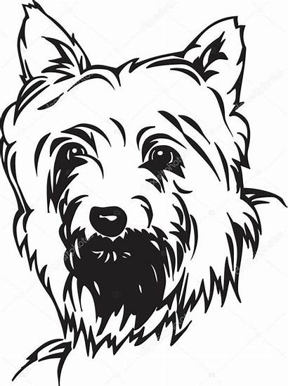 Terrier Clipart Yorkie Dog Yorkshire Clip Coloring