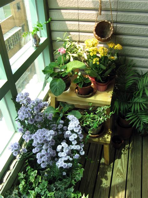 5 Indoor Garden Ideas Perfect For Tiny Spaces