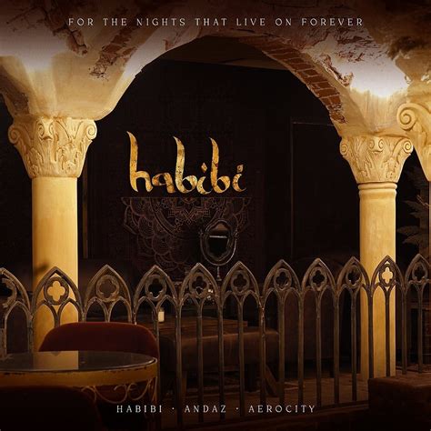 Habibi By Khubani Habibi Delhi Habibi Delhi Aerocity