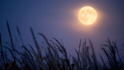 ¿qué Es La Luna De Cosecha 2023 Cómo Verla Este Septiembre Y Por Qué