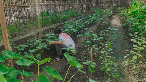 Bahay Kubo Vegetable Garden Fasci Garden