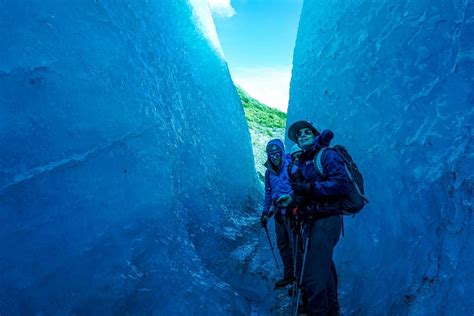 Exit Glacier Guides Day Tours Seward Tutto Quello Che Cè Da Sapere