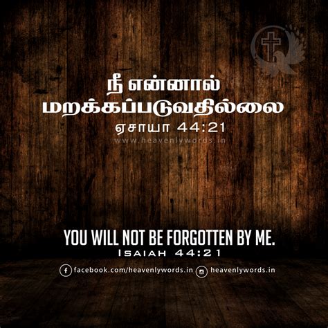 Pin On Tamil Bible Quotes