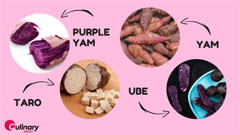What Is Ube How Healthy Are They Culinary Depot