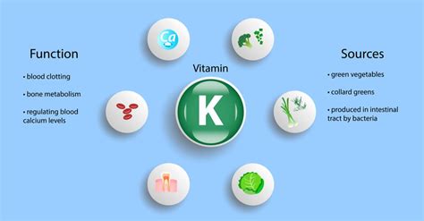 Vitamin K What It Does And The Best Sources Scalar Light