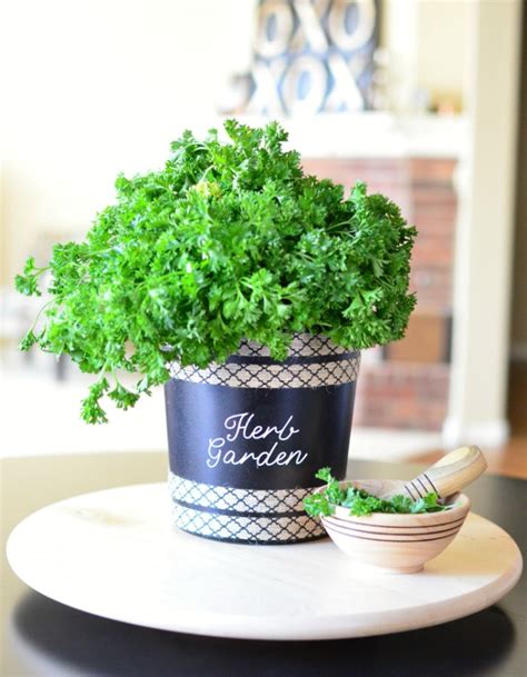 Upcycled Herb Garden Tutorial My Crafty Spot When Life