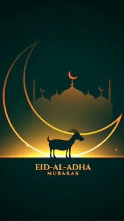 Eid Ul Azha 2023 ️eid Mubarak ️ Eiduladha2023 Eidmubarak