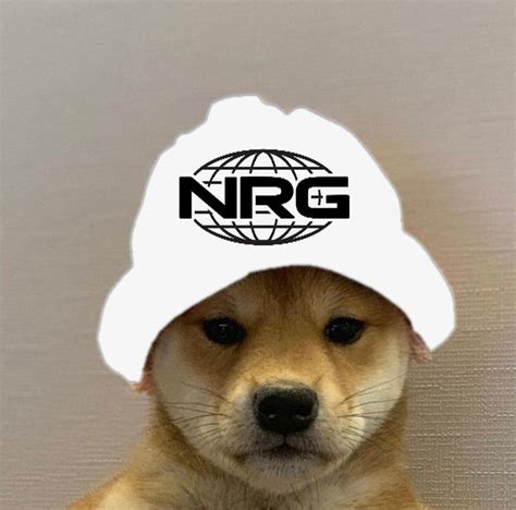 Pin Na Dog In Hat Meme