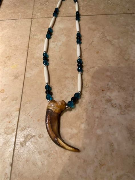 Authentic Grizzly Bear Claw Necklace Front Grizzly Claw Necklace 4 25