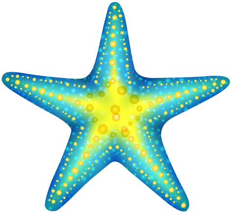 Bintang Laut Clipart Gudang Gambar Vector Png