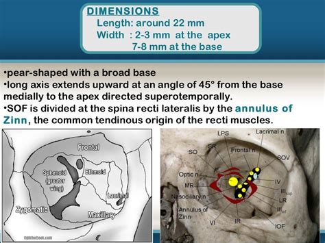 Orbital Apex Syndrome