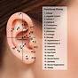 Ear Piercing Benefits Chart