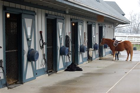 Kentuckyhorsefarm20090315078 Kentucky Horse Farm In Flickr