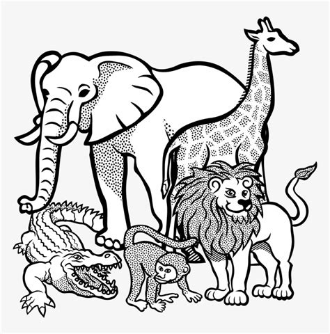 Safari Animals Coloring Pages Home Design Ideas
