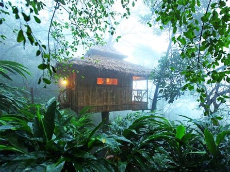 Browse resorts in vythiri & save money booking with expedia. Tree House - Idukki