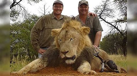 10 Hunting Photos That Sparked Outrage Youtube