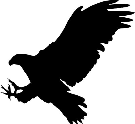 Bald Eagle Bird Silhouette Hawk Png Download 24002208 Free