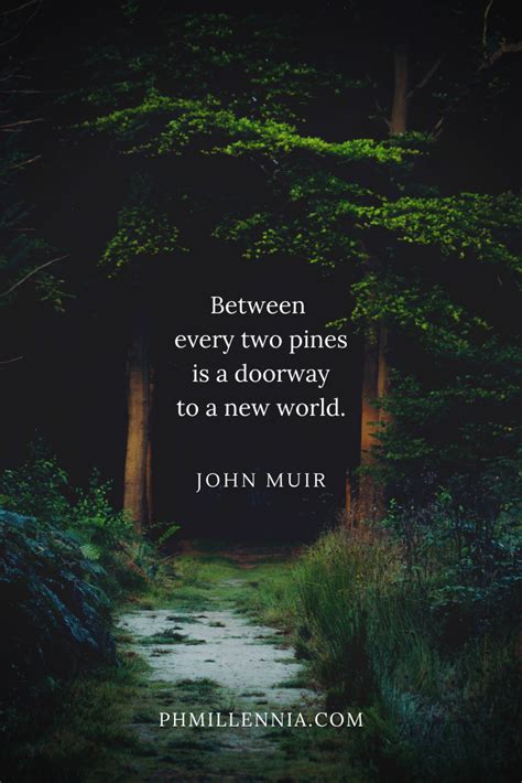 199 Wonderful And Inspiring Quotes On Woods And Forests Phmillennia