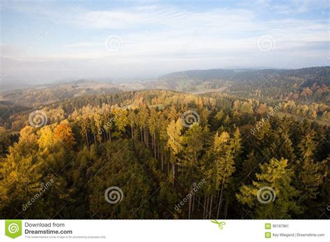 Autumn In German Mountains And Forests Saxon Switzerland Is A Stock