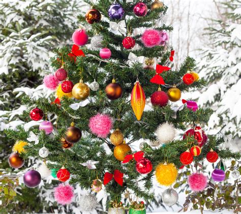 Snow Covered Christmas Tree Stock Photos Download 78625