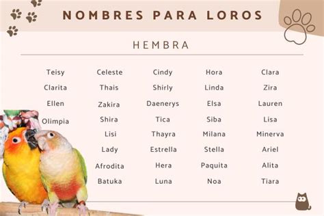 Ideas Divertidas para Nombres de Pájaros Machos y Hembras Mascotas Domesticas