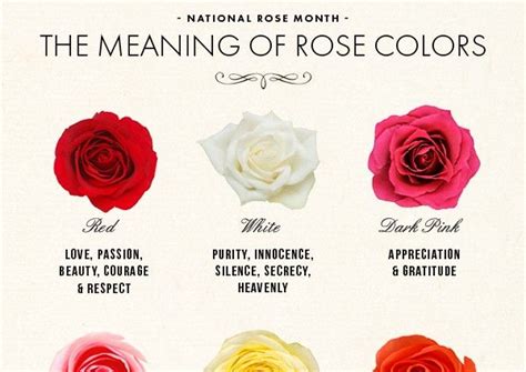 Most related words/phrases with sentence examples define bed of roses meaning and usage. National Rose Month: The Meaning of Rose Colors | Rose ...