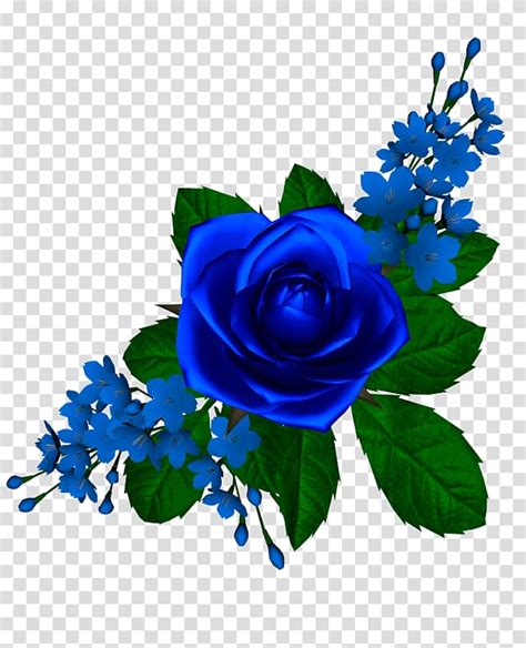 Blue Rose Flower Blue Rose Transparent Background Png Clipart Hiclipart