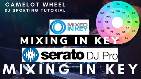 Mixed In Key L Learning The Camelot Wheel L Mixing In Serato Dj Pro L