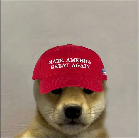 Profile Photo Doge Special Places Memes Laugh Hats Literally