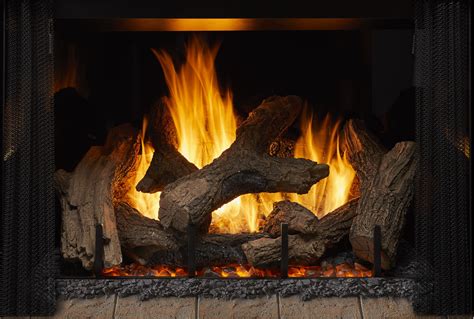 Phoenix Trueview Indoor Gas Fireplace Heat And Glo