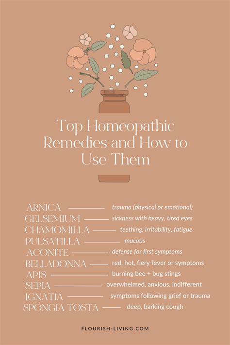 The Top Homeopathic Remedies And How To Use Them Artofit