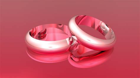 Wedding Rings Full Hd Wallpaper And Background Image 1920x1080 Id