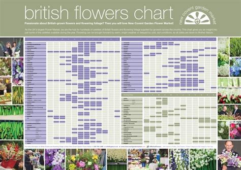 British Flowers Week 2014 — British Flowers Week Flower Chart