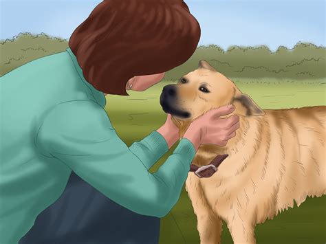 How To Communicate With Your Dog With Pictures Wikihow