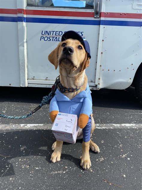 Your newest mail carrier! : r/USPS