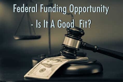 Federal Funding Opportunity Is It A Good Fit Divirgilio And Associates
