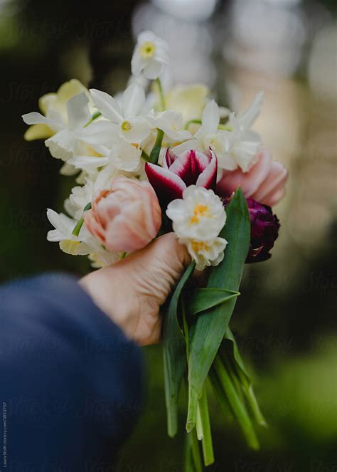 Hand Holding Spring Flower Bouquet By Stocksy Contributor Laura Stolfi Stocksy