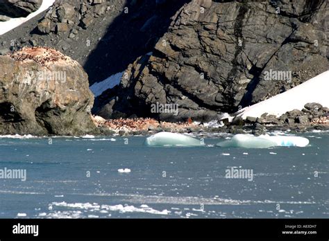 Historic Elephant Island Antarctica Is The Site Of Sir Ernest