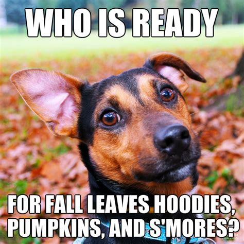 Whos Ready For Fall In 2020 Funny Animal Pictures Dog Love Funny