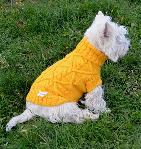 Вяжем собаке одежду спицами с описанием Вязание одежды для собак