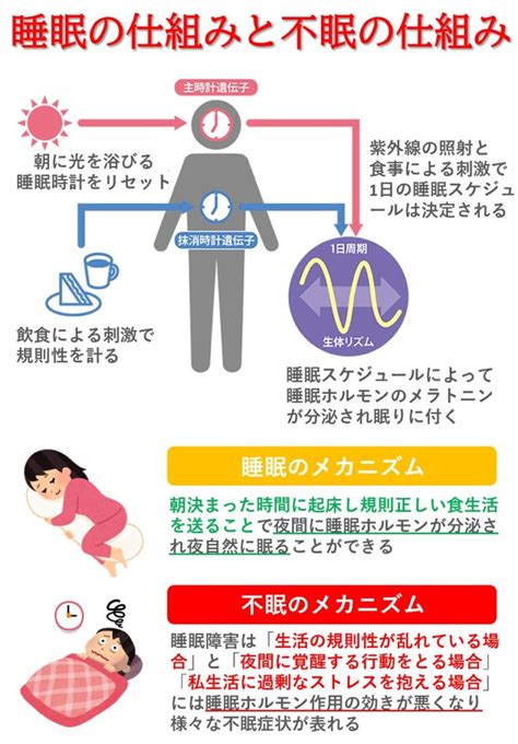 不眠症状には漢方を 大阪市生野区の漢方薬局 大友薬局