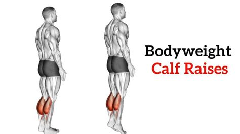 Bodyweight Calf Raises Muscles Worked Benefits And Variations